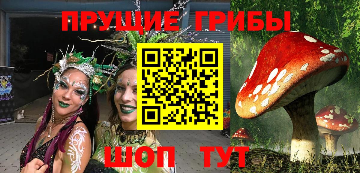 Псилоцибиновые грибы MAGIC MUSHROOMS Ржев