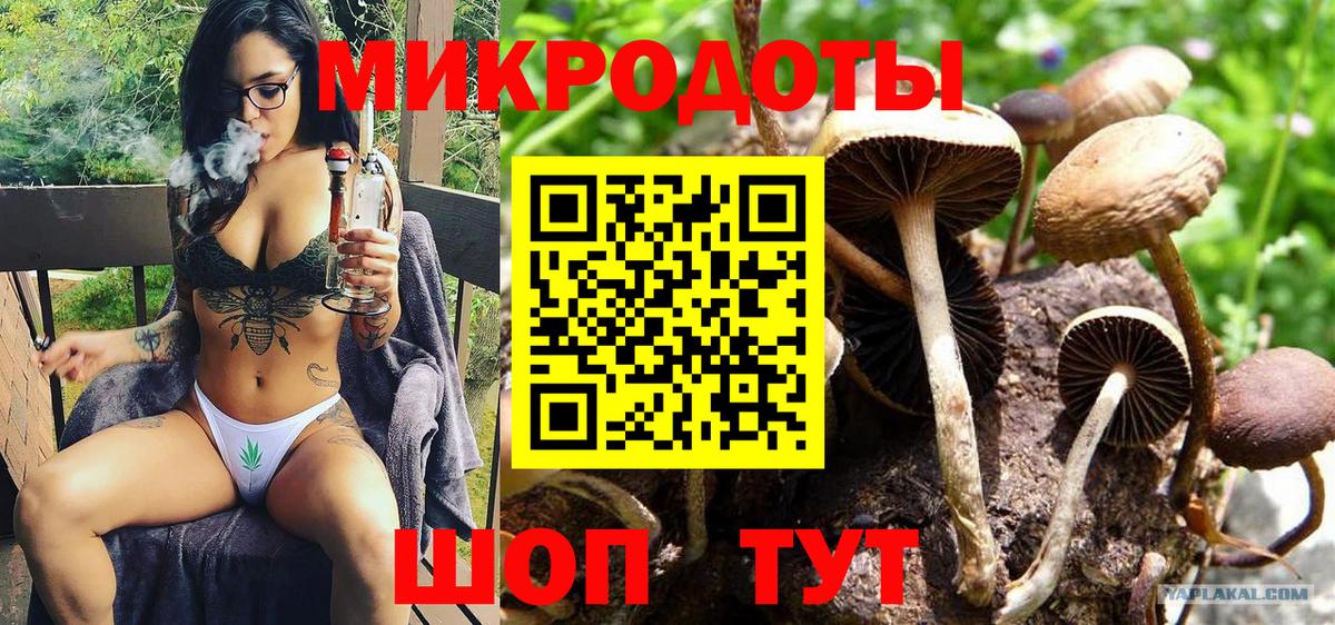Ржев  Галлюциногенные грибы мухоморы  Псилоцибиновые грибы Magic Shrooms  Вход с VPN 